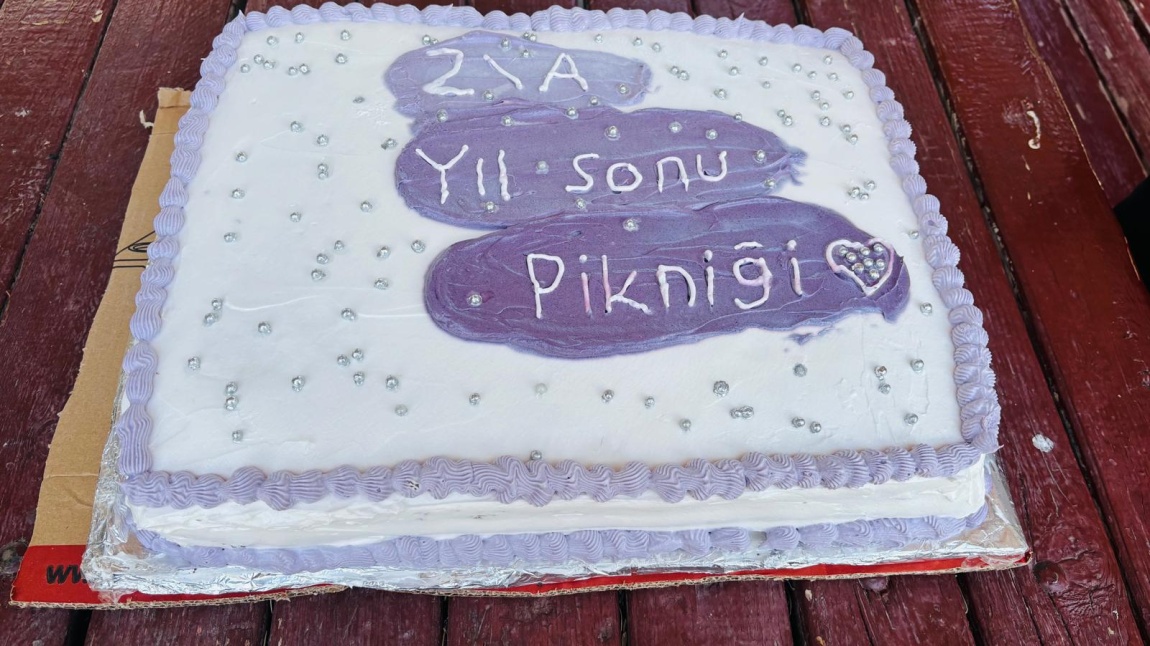 2-A SINIFI YIL SONU PİKNİĞİ